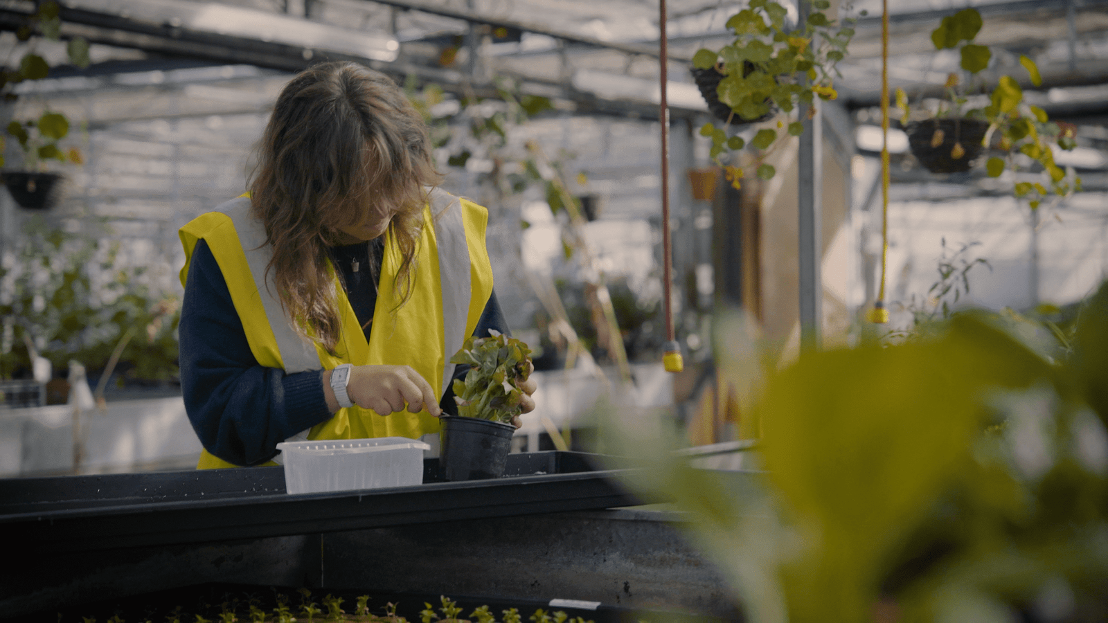 Food Works Workshop Voucher - Image 7