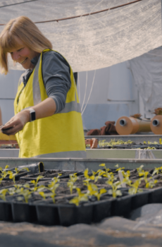 Easy Food Growing Kit