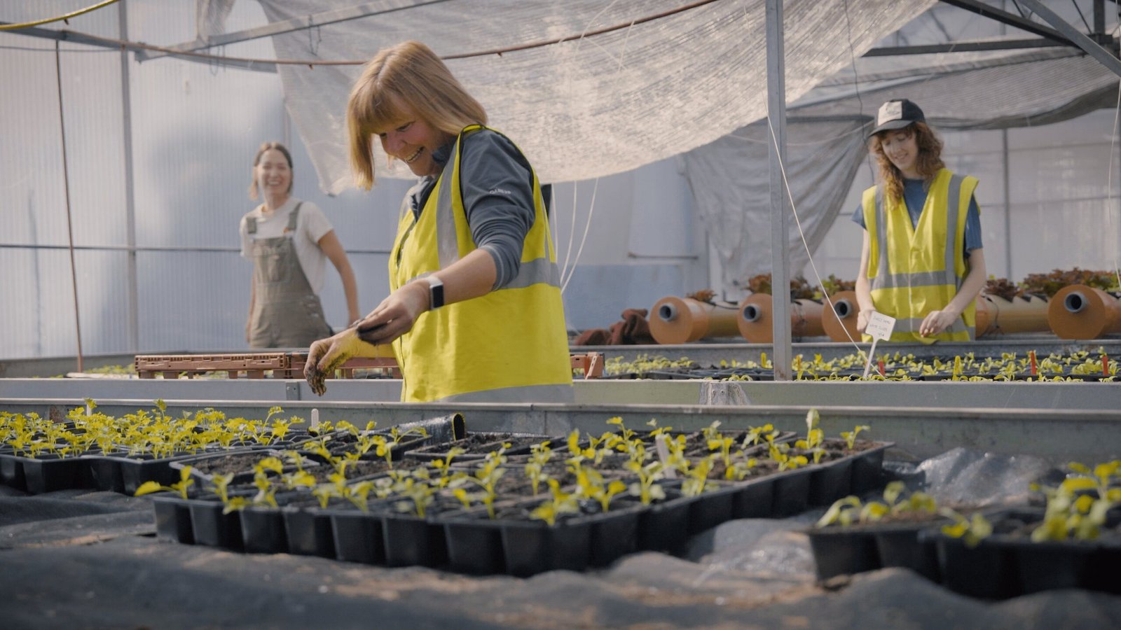 Easy Food Growing Kit