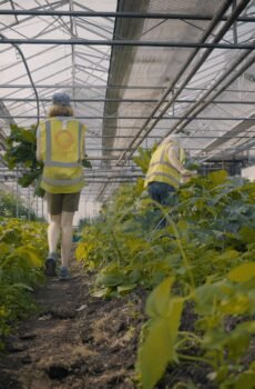 Seasonal Food Growing Quarterly Subscription