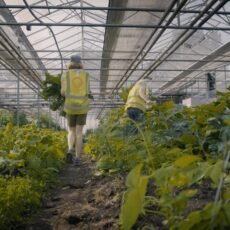 Seasonal Food Growing Quarterly Subscription